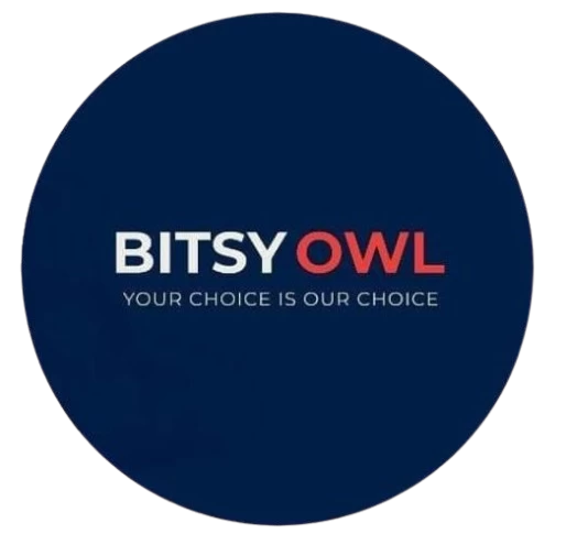 Bitsy Owl