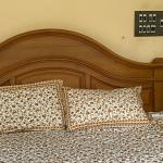 Rajasthani Printed Double Bed sheet set with two pillows